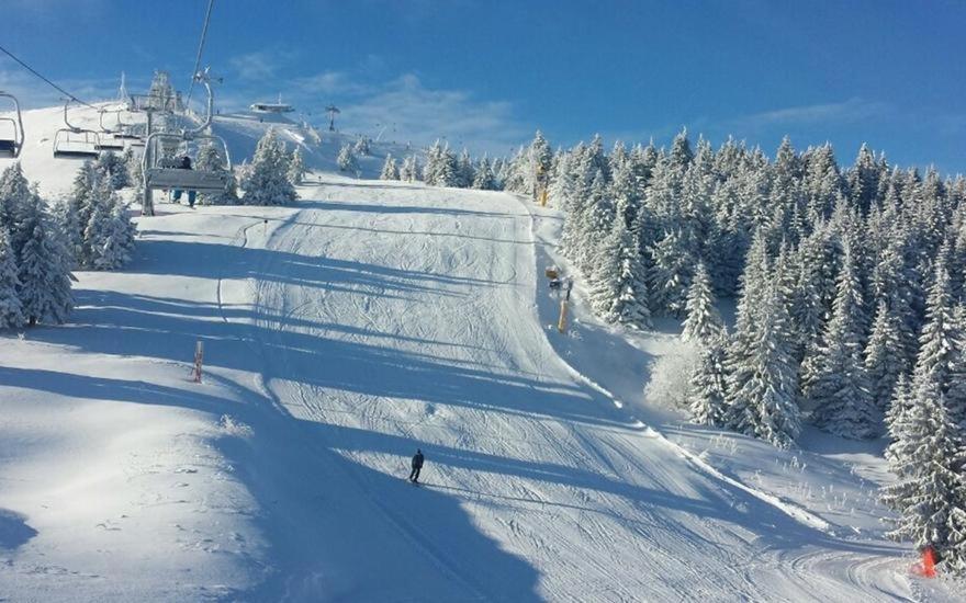 Apartment Snow Garden Kopaonik Eksteriør billede